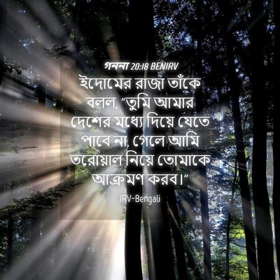 Picture 04 - গননা 20:18 BENIRV - ইদোমের রাজা তাঁকে - Bible Verse Picture