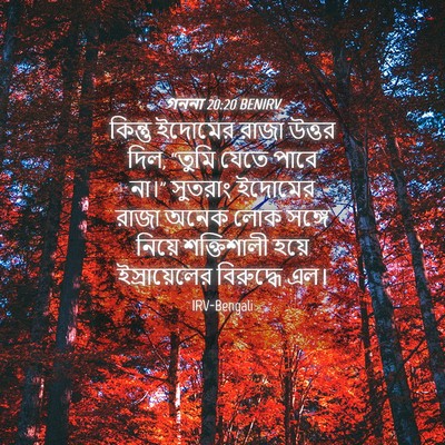 Picture 04 - গননা 20:20 BENIRV - কিন্তু ইদোমের - Bible Verse Picture