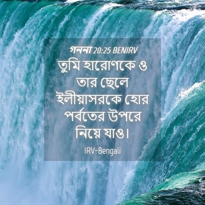 Picture 04 - গননা 20:25 BENIRV - তুমি হারোণকে ও তার - Bible Verse Picture