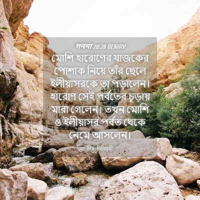 Picture 04 - গননা 20:28 BENIRV - মোশি হারোণের - Bible Verse Picture