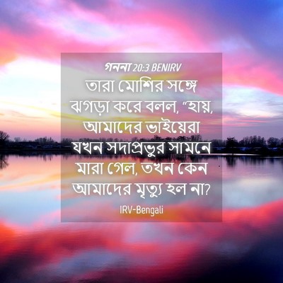 Picture 04 - গননা 20:3 BENIRV - তারা মোশির সঙ্গে - Bible Verse Picture