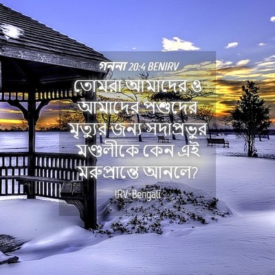 Picture 04 - গননা 20:4 BENIRV - তোমরা আমাদের ও - Bible Verse Picture