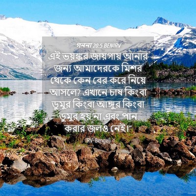 Picture 04 - গননা 20:5 BENIRV - এই ভয়ঙ্কর - Bible Verse Picture