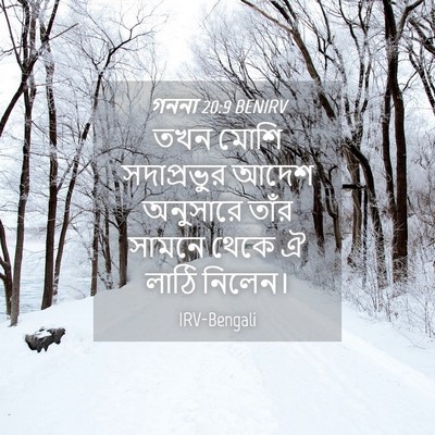 Picture 04 - গননা 20:9 BENIRV - তখন মোশি - Bible Verse Picture