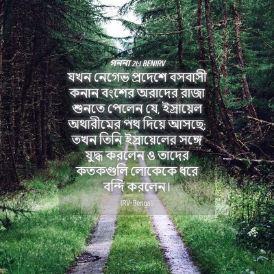Picture 04 - গননা 21:1 BENIRV - যখন নেগেভ প্রদেশে - Bible Verse Picture