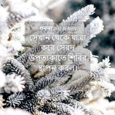 Picture 04 - গননা 21:12 BENIRV - সেখান থেকে যাত্রা - Bible Verse Picture