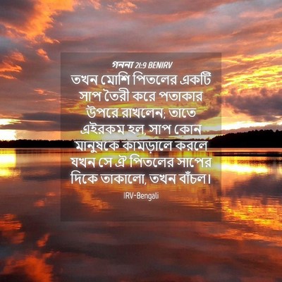 Picture 04 - গননা 21:9 BENIRV - তখন মোশি পিতলের - Bible Verse Picture