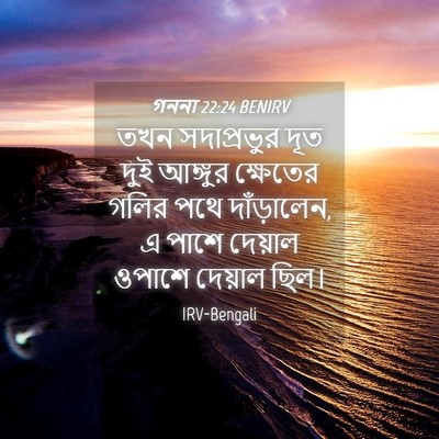 Picture 04 - গননা 22:24 BENIRV - তখন সদাপ্রভুর দূত - Bible Verse Picture