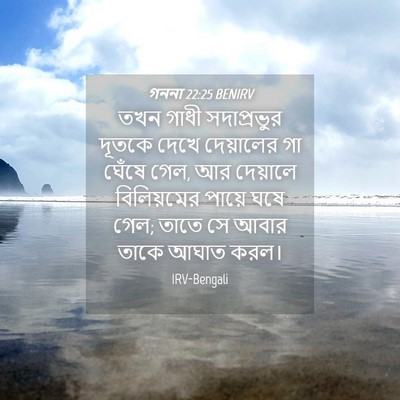 Picture 04 - গননা 22:25 BENIRV - তখন গাধী - Bible Verse Picture