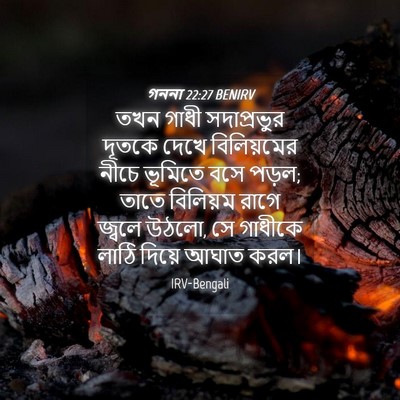 Picture 04 - গননা 22:27 BENIRV - তখন গাধী - Bible Verse Picture