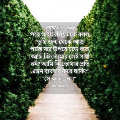 Picture 04 - গননা 22:30 BENIRV - পরে গাধী - Bible Verse Picture