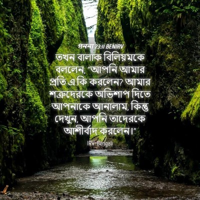 Picture 04 - গননা 23:11 BENIRV - তখন বালাক - Bible Verse Picture