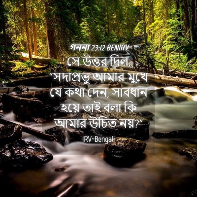 Picture 04 - গননা 23:12 BENIRV - সে উত্তর দিল, - Bible Verse Picture
