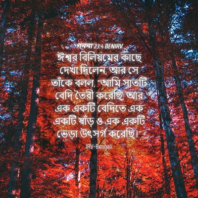 Picture 04 - গননা 23:4 BENIRV - ঈশ্বর বিলিয়মের - Bible Verse Picture