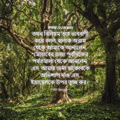 Picture 04 - গননা 23:7 BENIRV - তখন বিলিয়ম তার - Bible Verse Picture