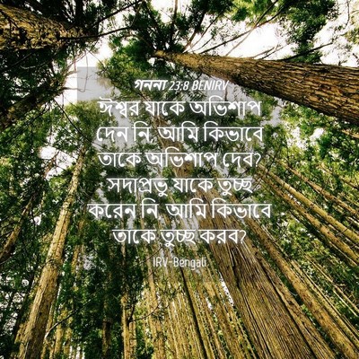 Picture 04 - গননা 23:8 BENIRV - ঈশ্বর যাকে অভিশাপ - Bible Verse Picture