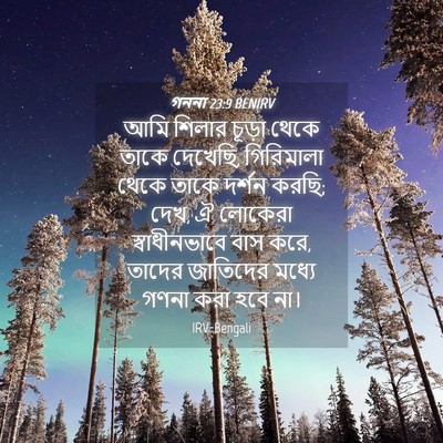 Picture 04 - গননা 23:9 BENIRV - আমি শিলার চূড়া - Bible Verse Picture