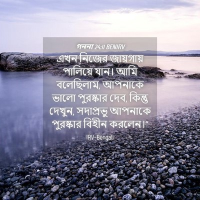 Picture 04 - গননা 24:11 BENIRV - এখন নিজের - Bible Verse Picture