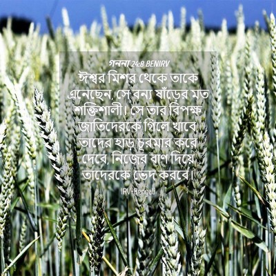 Picture 04 - গননা 24:8 BENIRV - ঈশ্বর মিশর থেকে - Bible Verse Picture