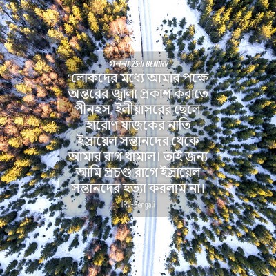 Picture 04 - গননা 25:11 BENIRV - “লোকদের মধ্যে - Bible Verse Picture