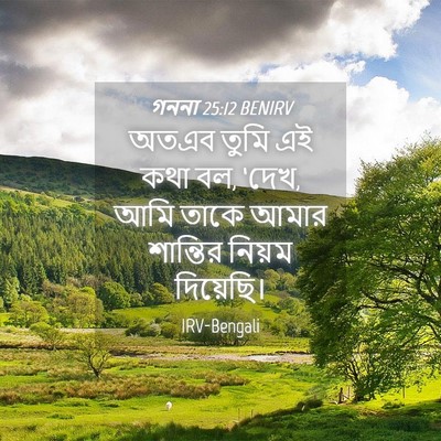 Picture 04 - গননা 25:12 BENIRV - অতএব তুমি এই কথা - Bible Verse Picture