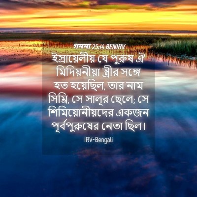 Picture 04 - গননা 25:14 BENIRV - ইস্রায়েলীয় যে - Bible Verse Picture