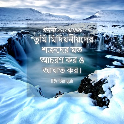 Picture 04 - গননা 25:17 BENIRV - “তুমি - Bible Verse Picture