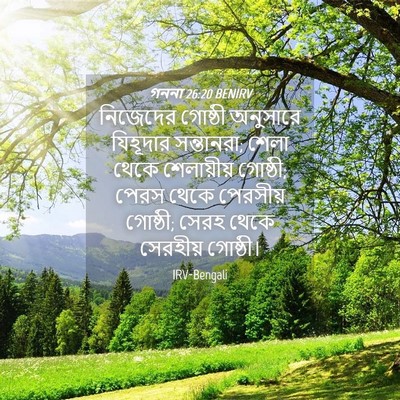 Picture 04 - গননা 26:20 BENIRV - নিজেদের গোষ্ঠী - Bible Verse Picture