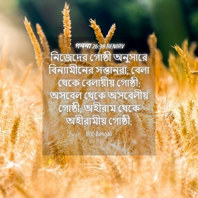 Picture 04 - গননা 26:38 BENIRV - নিজেদের গোষ্ঠী - Bible Verse Picture