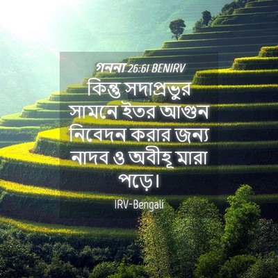 Picture 04 - গননা 26:61 BENIRV - কিন্তু সদাপ্রভুর - Bible Verse Picture