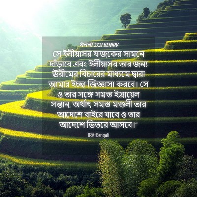 Picture 04 - গননা 27:21 BENIRV - সে ইলীয়াসর - Bible Verse Picture