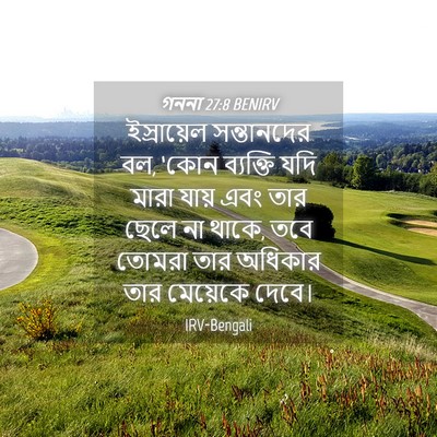 Picture 04 - গননা 27:8 BENIRV - ইস্রায়েল - Bible Verse Picture