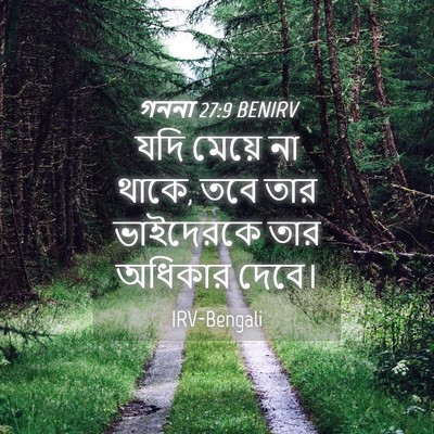 Picture 04 - গননা 27:9 BENIRV - যদি মেয়ে না থাকে, - Bible Verse Picture