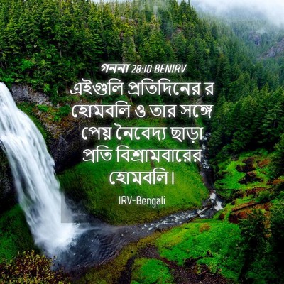 Picture 04 - গননা 28:10 BENIRV - এইগুলি প্রতিদিনের - Bible Verse Picture