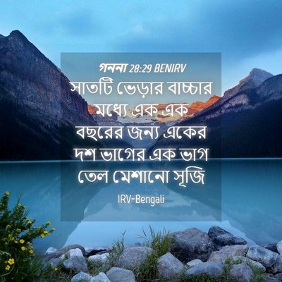 Picture 04 - গননা 28:29 BENIRV - সাতটি ভেড়ার - Bible Verse Picture