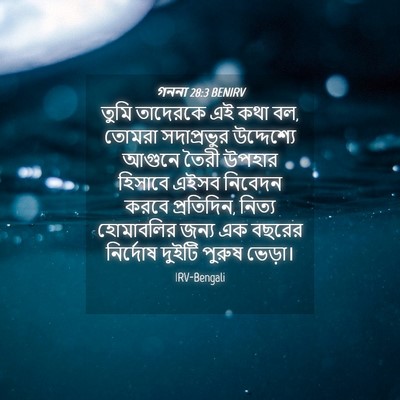 Picture 04 - গননা 28:3 BENIRV - তুমি তাদেরকে এই - Bible Verse Picture