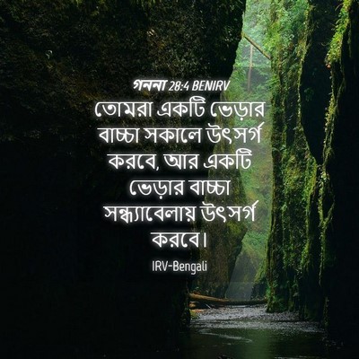 Picture 04 - গননা 28:4 BENIRV - তোমরা একটি ভেড়ার - Bible Verse Picture