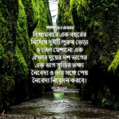 Picture 04 - গননা 28:9 BENIRV - বিশ্রামবারে এক - Bible Verse Picture
