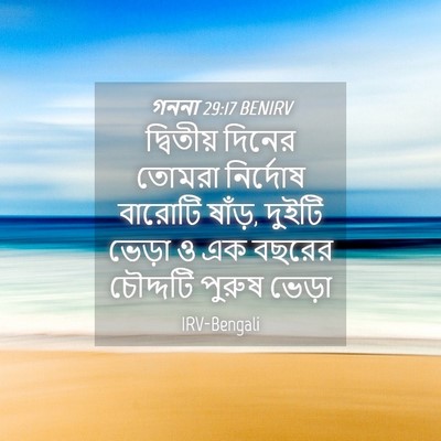 Picture 04 - গননা 29:17 BENIRV - দ্বিতীয় দিনের - Bible Verse Picture