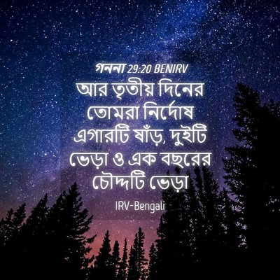Picture 04 - গননা 29:20 BENIRV - আর তৃতীয় দিনের - Bible Verse Picture