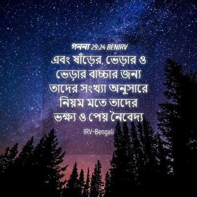 Picture 04 - গননা 29:24 BENIRV - এবং ষাঁড়ের, - Bible Verse Picture