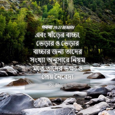Picture 04 - গননা 29:27 BENIRV - এবং ষাঁড়ের - Bible Verse Picture