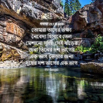 Picture 04 - গননা 29:3 BENIRV - তোমরা তাদের - Bible Verse Picture