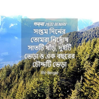 Picture 04 - গননা 29:32 BENIRV - সপ্তম দিনের তোমরা - Bible Verse Picture