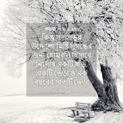 Picture 04 - গননা 29:36 BENIRV - কিন্তু সদাপ্রভুর - Bible Verse Picture