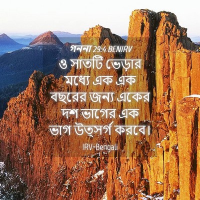 Picture 04 - গননা 29:4 BENIRV - ও সাতটি ভেড়ার - Bible Verse Picture