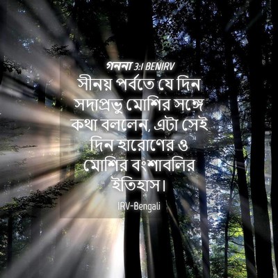 Picture 04 - গননা 3:1 BENIRV - সীনয় পর্বতে যে - Bible Verse Picture