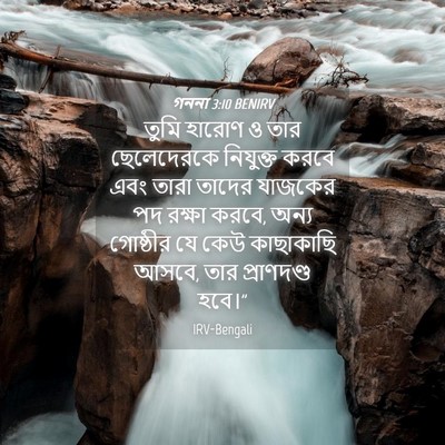 Picture 04 - গননা 3:10 BENIRV - তুমি হারোণ ও তার - Bible Verse Picture