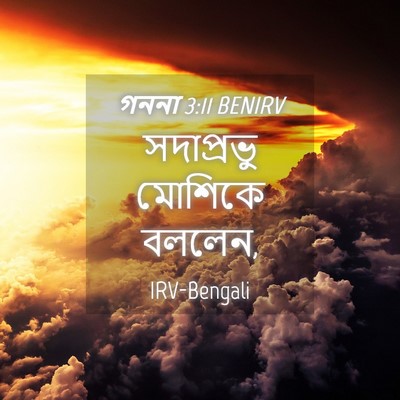Picture 04 - গননা 3:11 BENIRV - সদাপ্রভু মোশিকে - Bible Verse Picture
