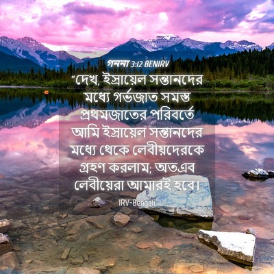 Picture 04 - গননা 3:12 BENIRV - “দেখ, ইস্রায়েল - Bible Verse Picture